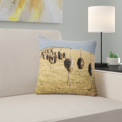 Throw Pillow