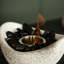 Alamin Oval Concrete Alcohol Smokeless Fire Pit