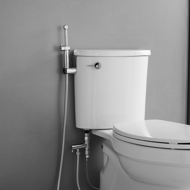 Hand Held Bidet, Chrome