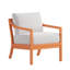 Lounge Chair-196596913