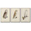 «French Owls IV», reproduction sur toile 3 pièces-91887707-91887708