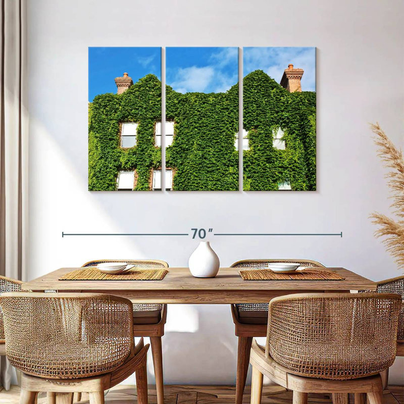 Maison couverte de plantes