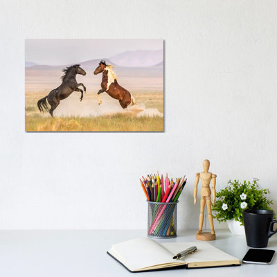 USA, Utah, Tooele County. Wild Stallions Fighting. by Jaynes Gallery - Wrapped Canvas Gallery-Wrapped Canvas Giclée