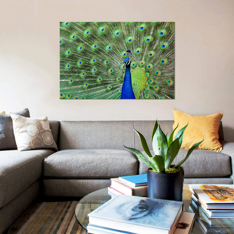Peacock Feathers - Wrapped Canvas Print, 101.6 cm H x 66.04 cm W x 1.91 cm D
