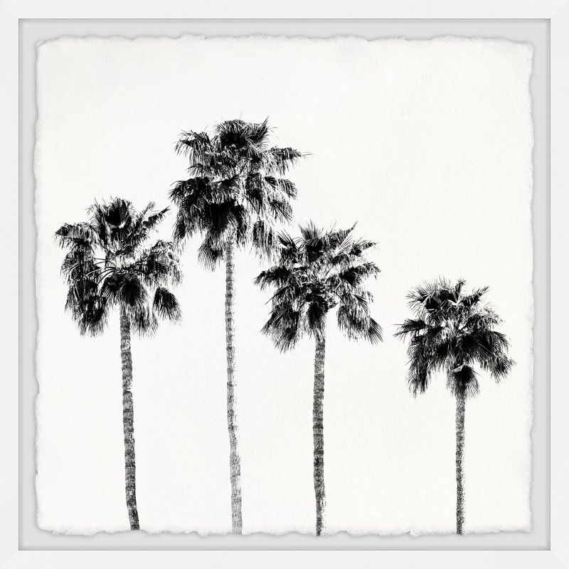 « quatre palmiers »-cadre photo imprimé sur papier, H 12 po x l 12 po x P 1,5 po