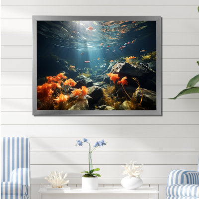 " Beautiful Coral Kingdom "
