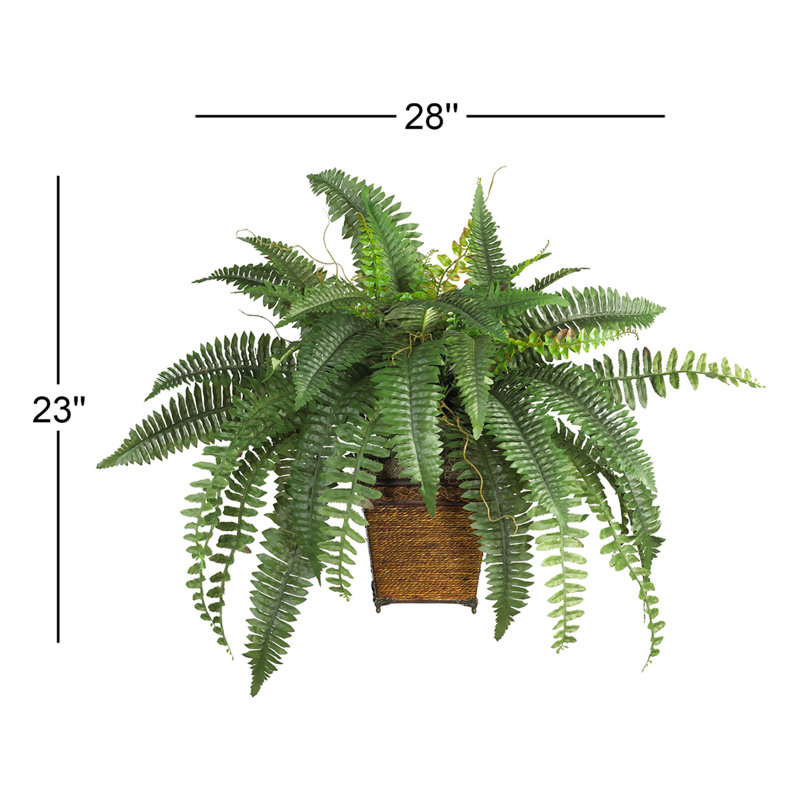 23'' Faux Fern Plant in Wicker/Rattan Pot