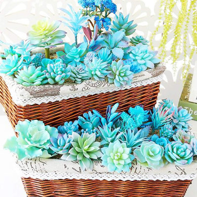 21-piece Blue Style 13 Artificial Succulent Plants