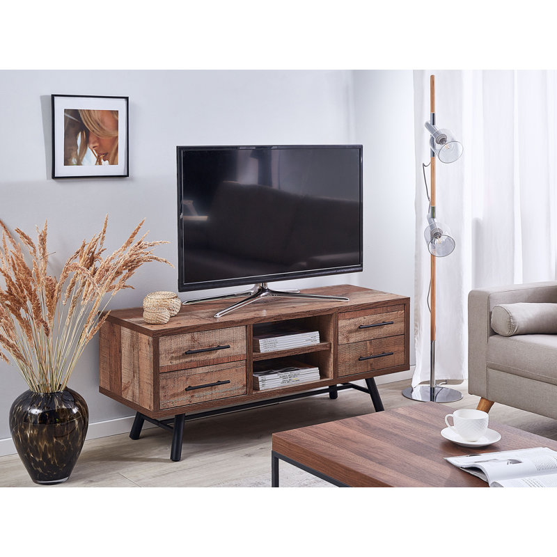 RaNesha Unfinished TV Stand for TVs up to 55"