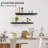 Alceme Floating Shelf-1005621165-1005621164