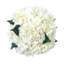  Hand-Tied White Hydrangea Bouquet