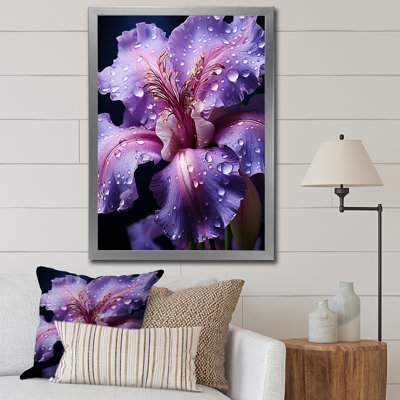Dearran " Purple Majestic Iris Black I "