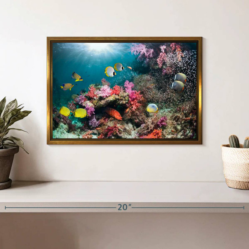Andaman Sea Life, Cadre flottant doré, 13 po x 9 po