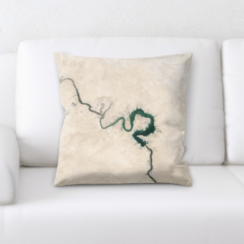 Flat Aerial Shots Microsuede Reversible Throw Pillow