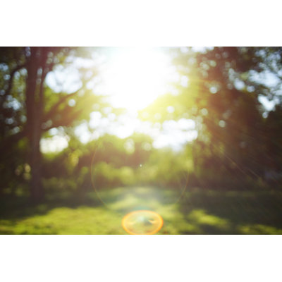 Blur Background by 4421010037 - Wrapped Canvas Print