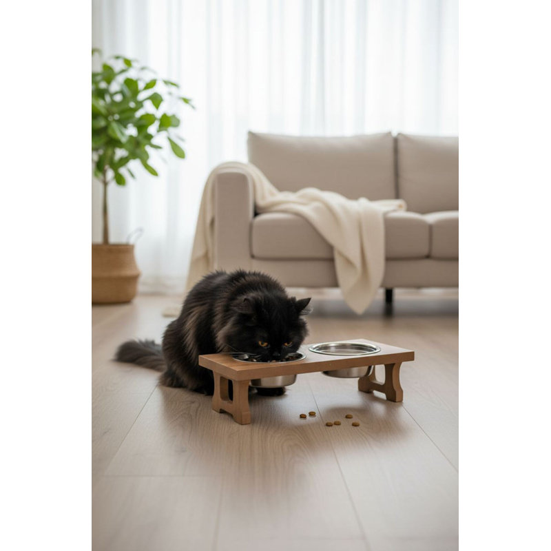 Bol pour nourriture pour animaux