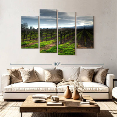 Alvord Napa Vineyard In January