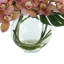 Tropical Orchid Arrangement in Glass Vase