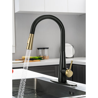 Robinet de cuisine à poignée simple CHLAPRO Tohlar
