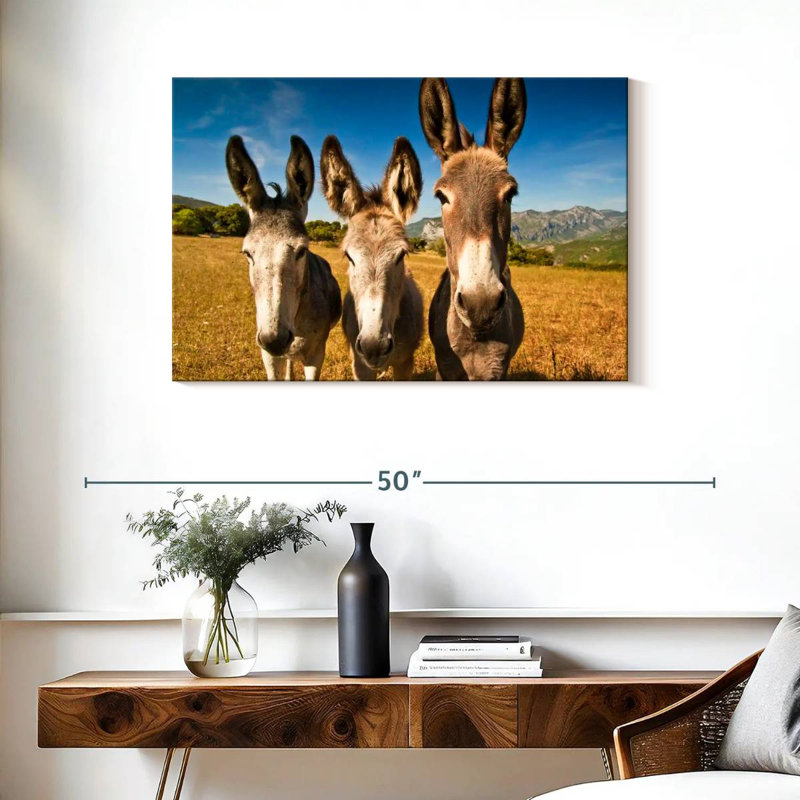 Brampt Donkey Trio, H 24 po x l 36 po