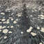 Tapis gris / ivoire Swanley