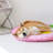 Lemon Cooling Dog Bed