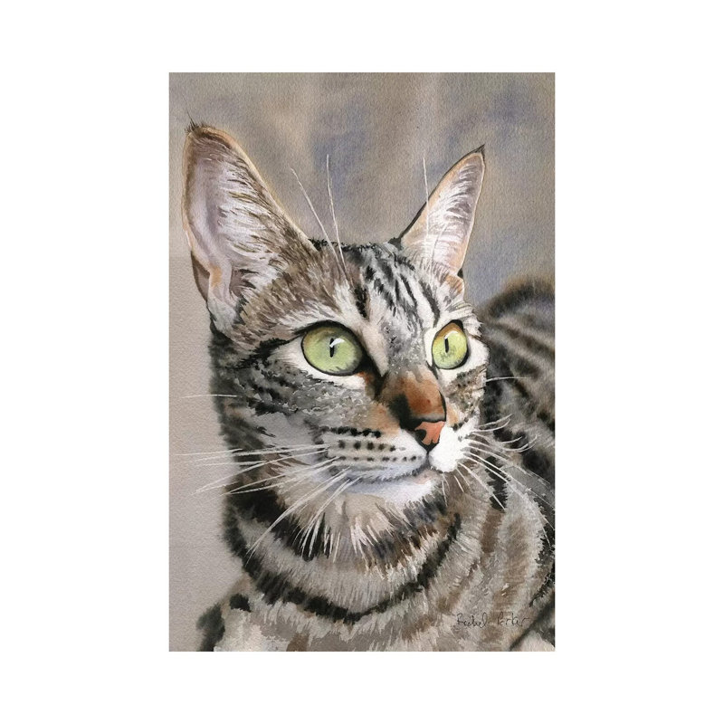 Tabby Eyes by Rachel Parker - Gallery-Wrapped Canvas Giclée on Canvas, Canvas, 20.32 cm H x 30.48 cm W