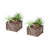 Artificial Succulent