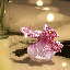 Plants & Flowers Decorative Object