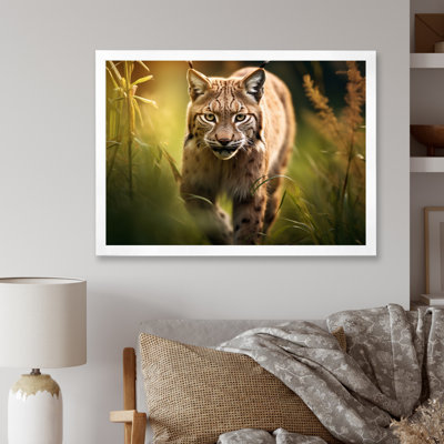 Portrait de lynx brun dans la nature I