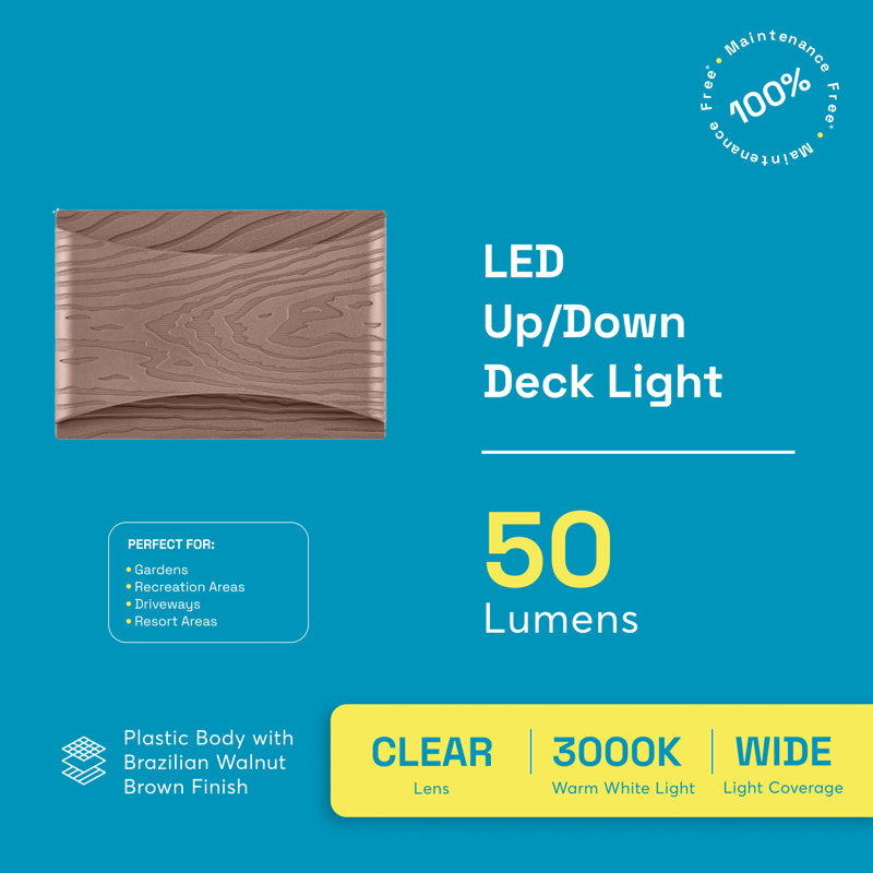 Lumière de pont basse / haute tension 50 lumens, 3000K, Noyer brésilien moyen