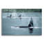 " Orcas " by Ron Parker-574529640