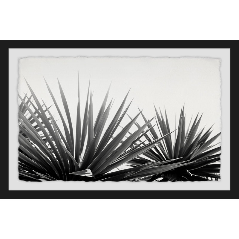 Pointed Leaves - Single Picture Frame Print, 61cm H x 91cm W x 4cm D