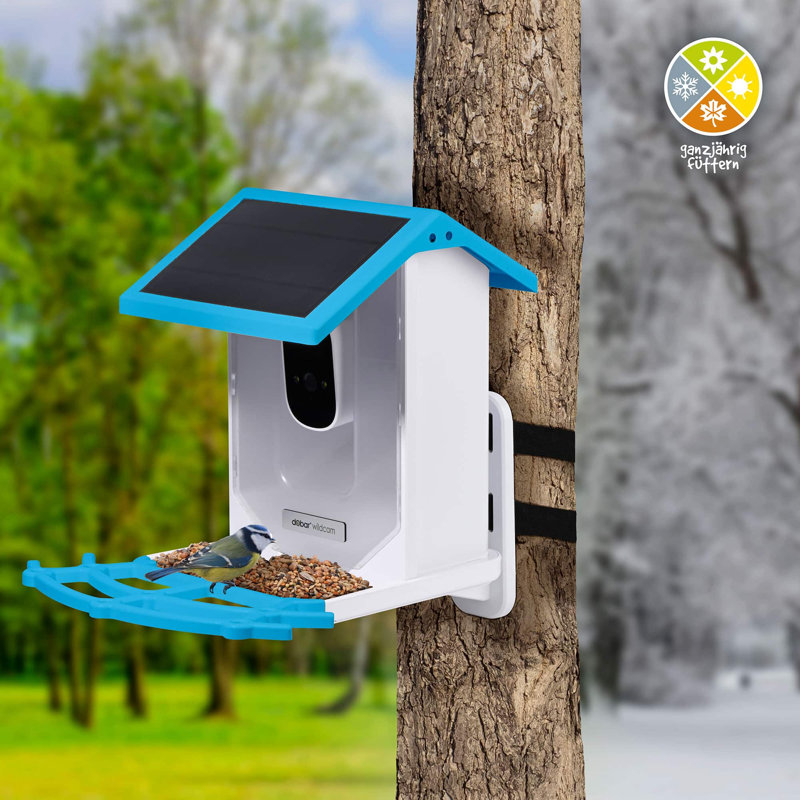 Eazy bird feeder with solar panel and wifi camera