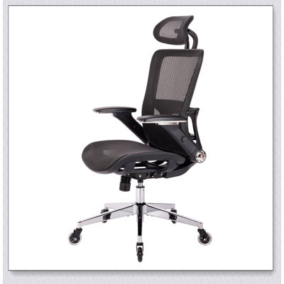 ErgoNomic Mesh Office Chair, High Back - Adjustable Headrest with Flip-Up Arms -  Inbox Zero, 55DBD9C21E474370A604681A166B35E5