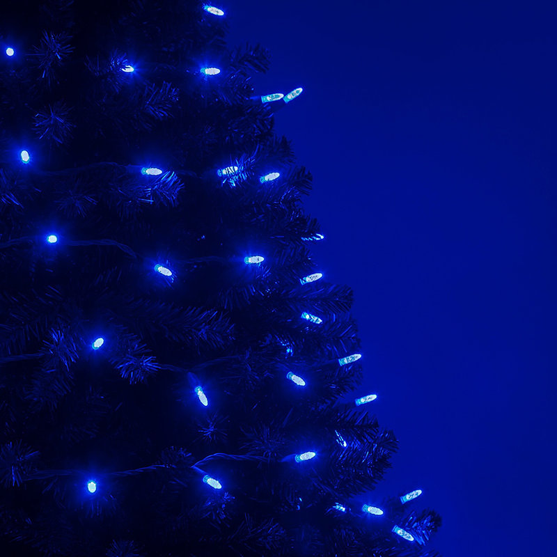288'' LED String Lights, Blue