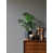 Gris anthracite sélectionné