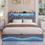 Upholstered Velvet Lift Up Storage Bed-600823488-600823495