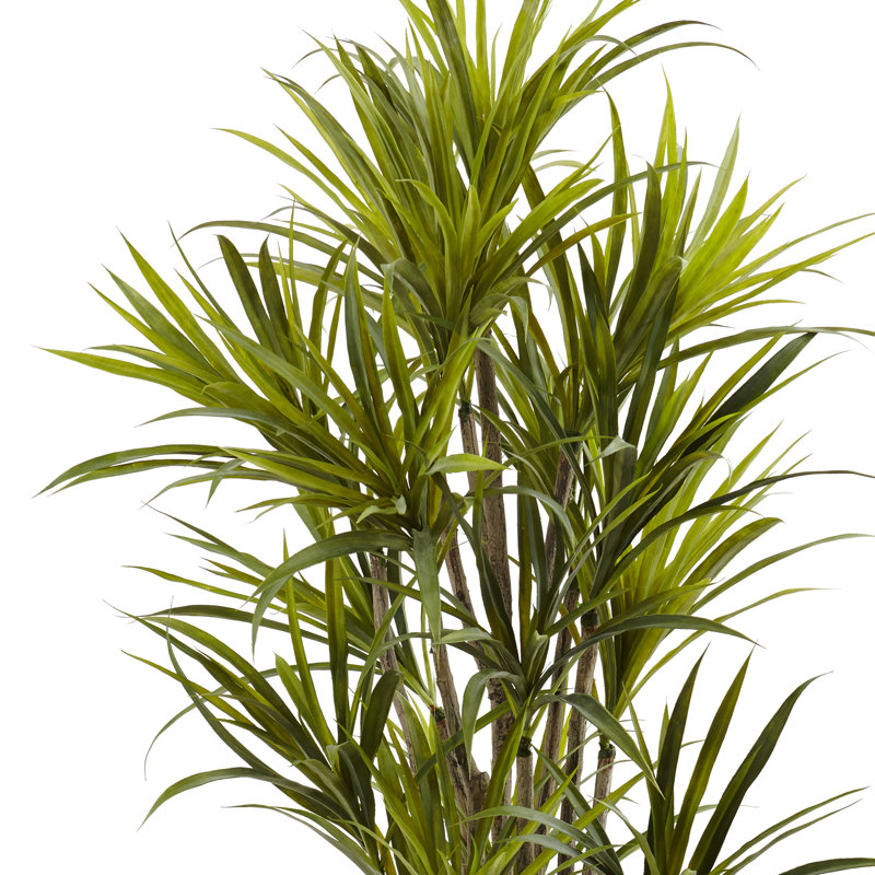 60'' Faux Dracaena Tree in Pot