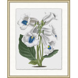 Floral Study 7 Print
