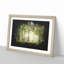 View of the Forest in the Spring - Picture Frame Graphic Art Print-56864737-56864735