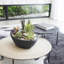 Delano Planter-1196885459-1114089402