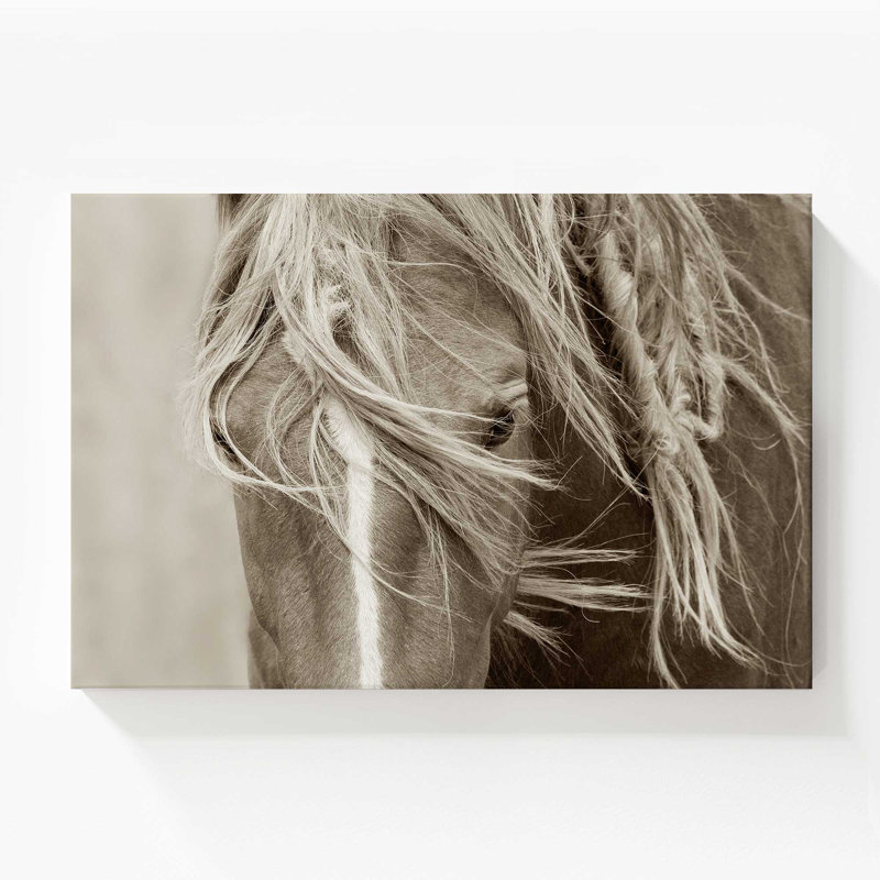 Gaceful Majesty, grande impression sur toile, H 36 po x l 54 po