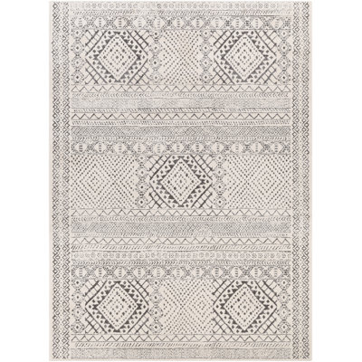 Aguila Southwestern Indoor Rug