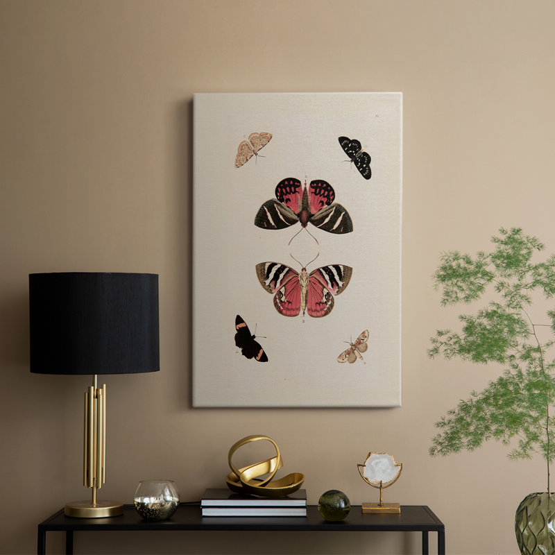 Imprimé animalier rétro XLV III - galerie Cavas, H 36 po x l 24 po