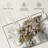 Harnek Daisy Arrangement-106031751