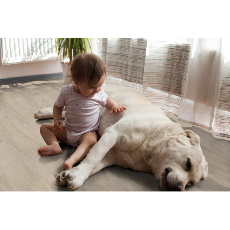 Plancher de vinyle auto-adhésif l 6,2 po x L 39,4 po auto-adhésif, Chêne crème