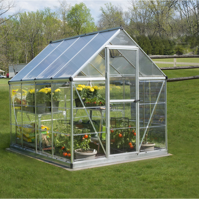 Hybrid 6 Ft W x 8 Ft D Hobby Greenhouse, Silver