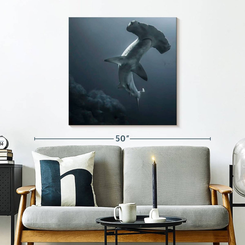 Requin-marteau Brampt, H 30 po x l 30 po