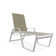 Holna Outdoor Rust-Resistant Metal Chaise Lounge